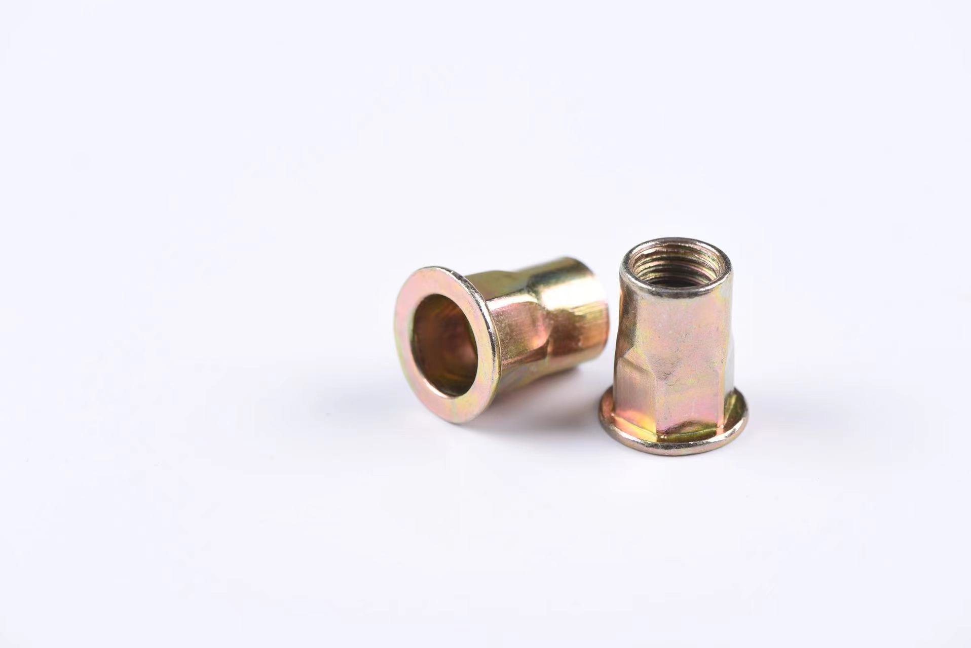 Flat Head Semihex Body Rivet Nut Anhui Chitong Hardware Technology Co., Ltd.